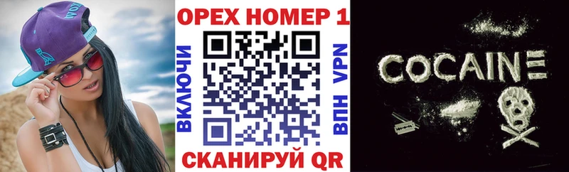 дарнет шоп  Губаха  Кокаин Эквадор 