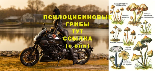 бутират Балабаново