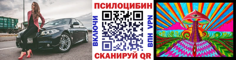 наркошоп  Губаха  Галлюциногенные грибы Magic Shrooms 